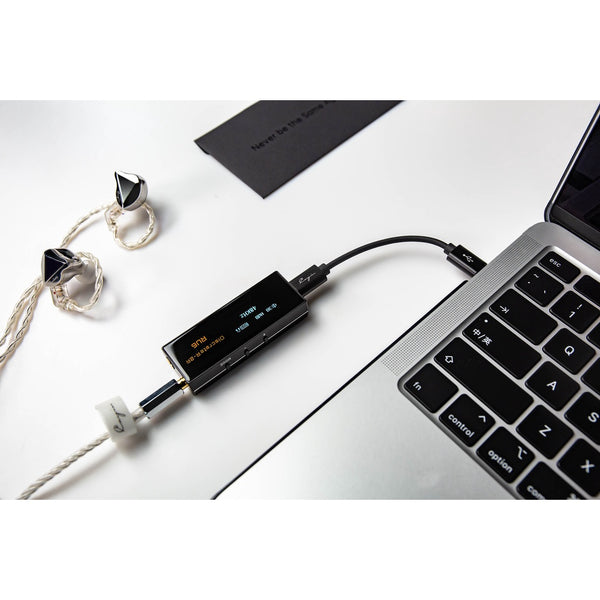 Cayin RU6, DAC and Amplifier: R-2R USB-C DAC/AMP for Earphones and Headphones DAC/AMP (RU6)