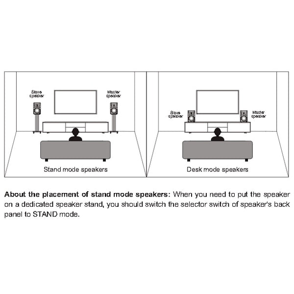 Hivi Swans D300, Powered Bookshelf Speaker: Active Bluetooth 5.0 for TV, Turntable, PC Speaker (D 300)