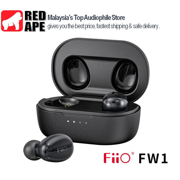 FiiO FW1, True Wireless Earbuds: Balanced Armature Bluetooth Wireless Earphones TWS (FW 1)