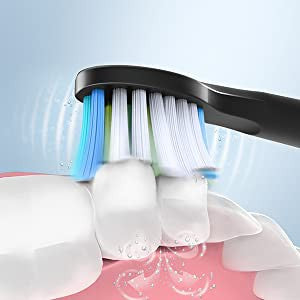 Fairywill E11, Sonic Toothbrush: for Adults & Kids with 8 Brush Heads and 5 Modes Electric Toothbrush (E 11)