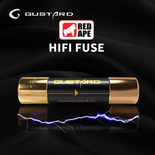 Gustard Audio Fuse 0.63A, Sound Protection Fuse: For HiFi DAC, Compatible with R26/X16/U16/C16/X22/A22/X26 (0.63A)