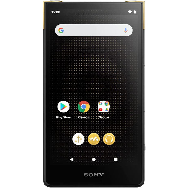 Sony NW-ZX707, Digital Audio Player: High-Res Portable Music Player DAP (NWZX707, NW ZX707)