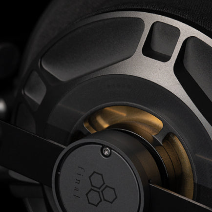 Final Audio D8000Pro, Planar Magnetic Headphones(Black Gold): Limited Edition High-End Headphones (D8000Pro)