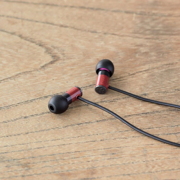 Final Audio E1000, Wired In-Ear Earbuds: with 5 Pairs Type E Eartips, High Resolution Audio Wired Earphones IEM (E 1000)