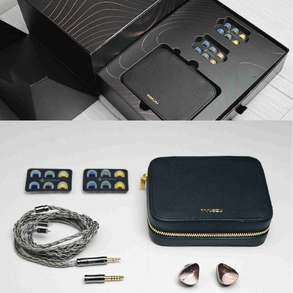 Tangzu XuanWu Gate, In-Ear Monitors: 1DD+4BA +2EST Hybrid Driver Multi-Drive Wired Earphones IEM (Xuan Wu)