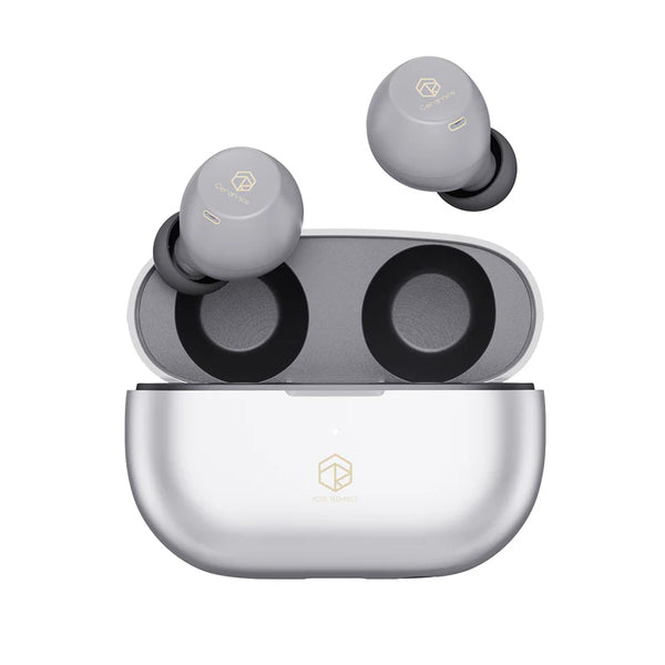 Rose Technics Ceramics X, True Wireless Earbuds: ANC, 4 HD Mics, IPX5 Sweat Resistant, LDAC, 40H Playtime (Ceramics X)